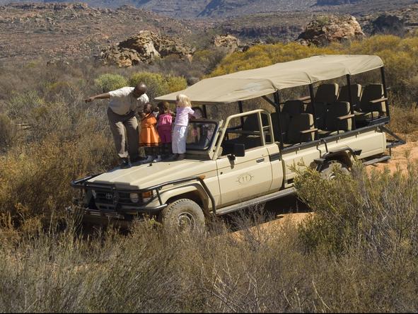 Koro Lodge - Game Drive 